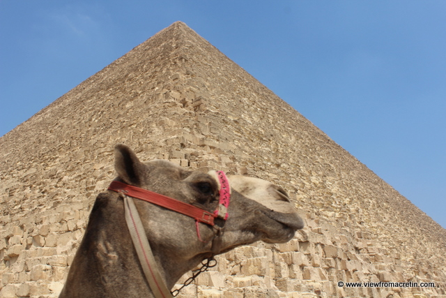 The Camel and the Pyramid