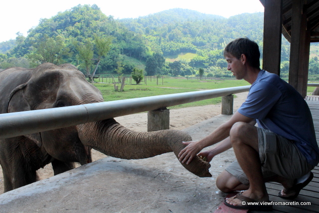 Feeding the Elephants