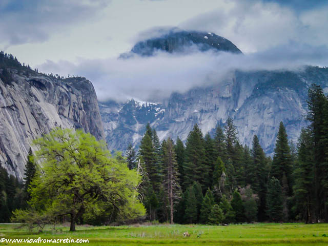 Half Dome is shrouded in clouds at Yosemite National Park.